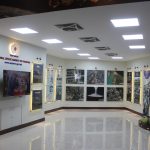 Sparko Gallery